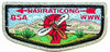 Narraticong S9