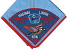 Hasinai P4