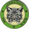 Ammatdiio COIN1