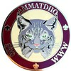 Ammatdiio COIN2