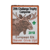 Challenge Trophy Camporee X333b