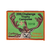 Challenge Trophy Camporee X335