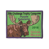 Challenge Trophy Camporee X341