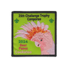 Challenge Trophy Camporee X493