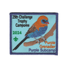 Challenge Trophy Camporee X504