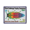 Challenge Trophy Camporee X400