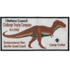 Challenge Trophy Camporee J8