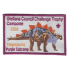 Challenge Trophy Camporee X20