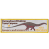 Challenge Trophy Camporee X15