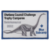 Challenge Trophy Camporee X18
