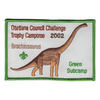 Challenge Trophy Camporee X16