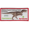 Challenge Trophy Camporee X17