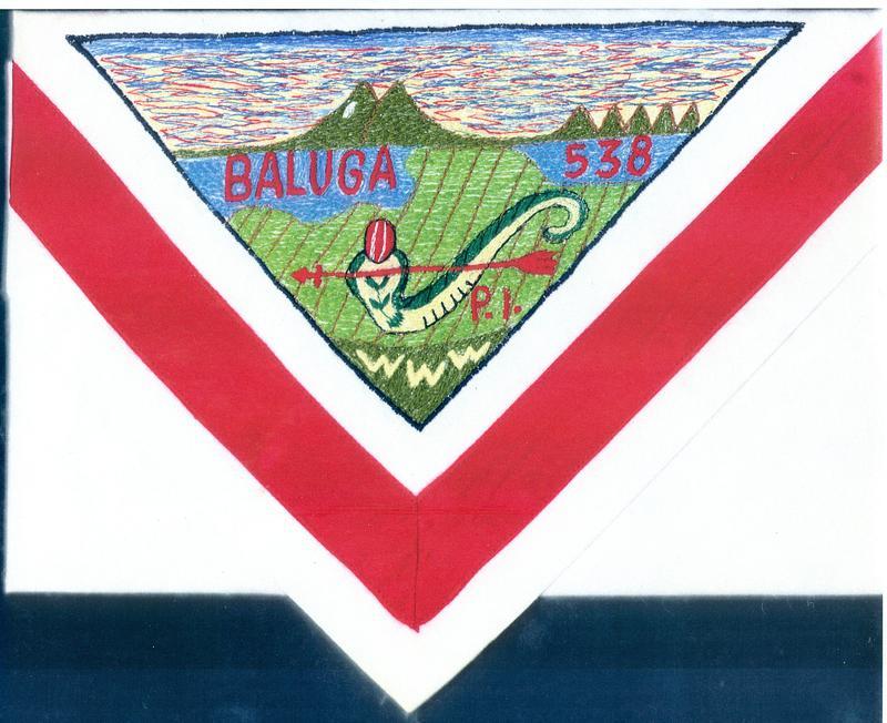 Baluga N1