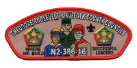 Suffolk County X-9