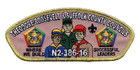 Suffolk County X-10