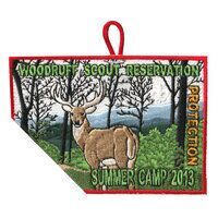Woodruff Scout Reservation eX2013-1