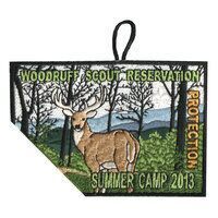 Woodruff Scout Reservation eX2013-5