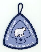 Horace A Moses Scout Reservation A82
