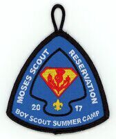 Horace A Moses Scout Reservation A86
