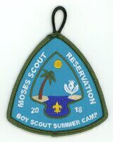 Horace A Moses Scout Reservation A98