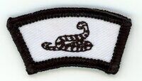 Horace A Moses Scout Reservation X16