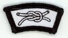 Horace A Moses Scout Reservation X17