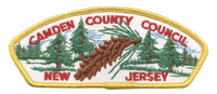 Camden County T-1