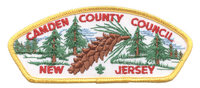 Camden County T-2b