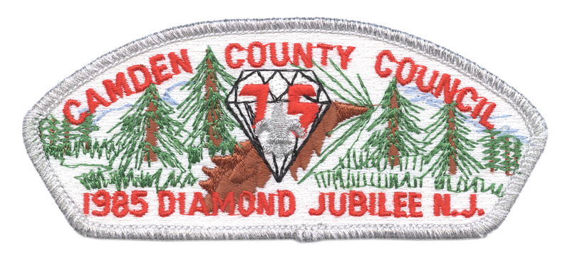 Camden County S-3