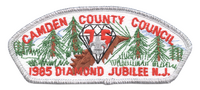 Camden County S-3