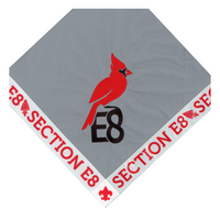 Section E8