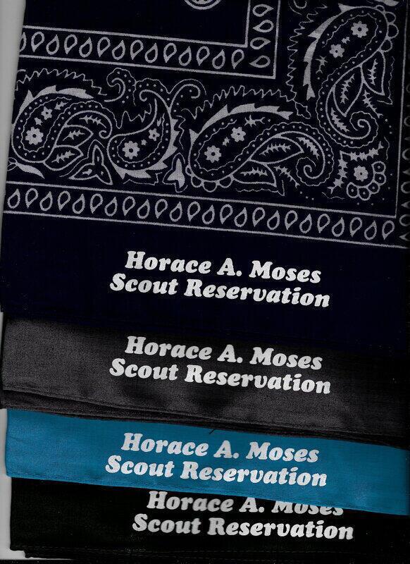 Horace A Moses Scout Reservation N27