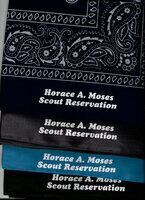 Horace A Moses Scout Reservation N27