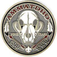 Ammatdiio COIN3