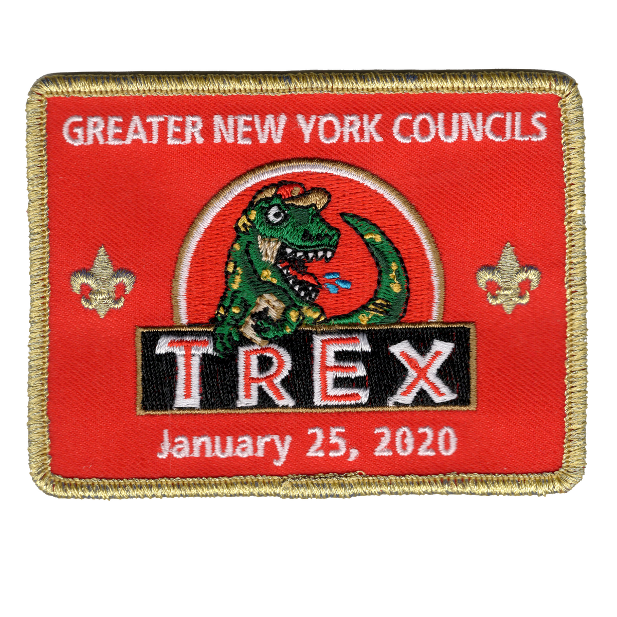 Greater New York Councils X-2020-1