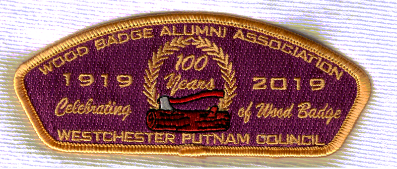 Westchester Putnam SA-38.5