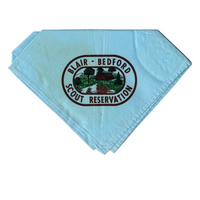 Blair Bedford Scout Reservation eN19??-1