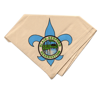 Blair Bedford Scout Reservation eN19??-3