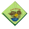 Blair Bedford Scout Reservation eN19??-5