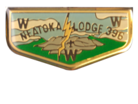 Neatoka PIN2