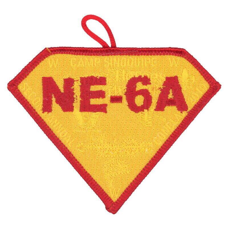 NE-6A eX2010-6