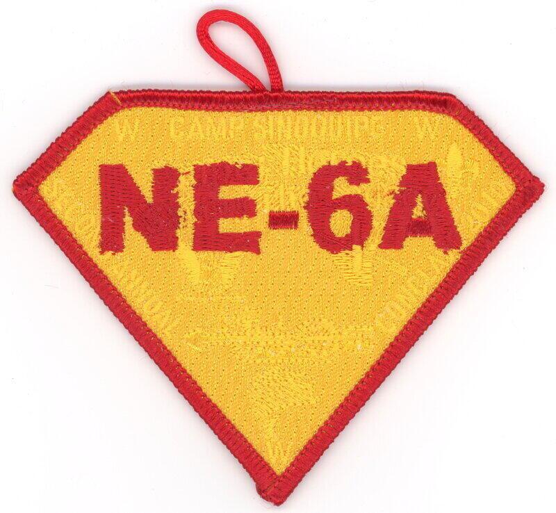 NE-6A eX2010-6