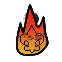 NE-6B ePIN2011-8
