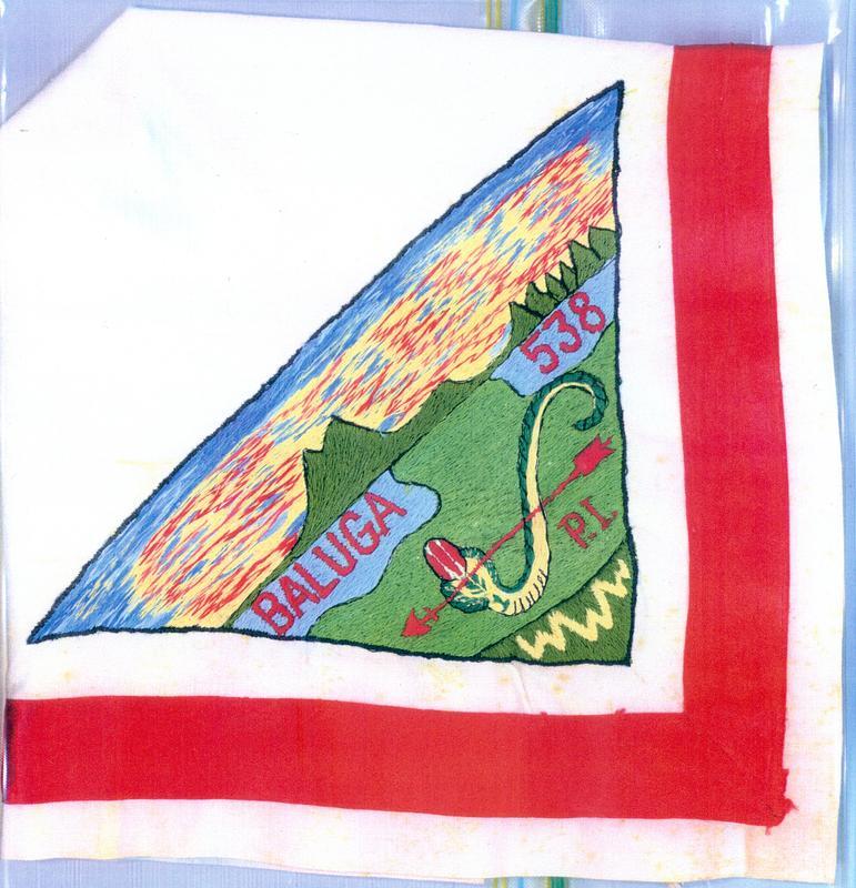 Baluga YN1