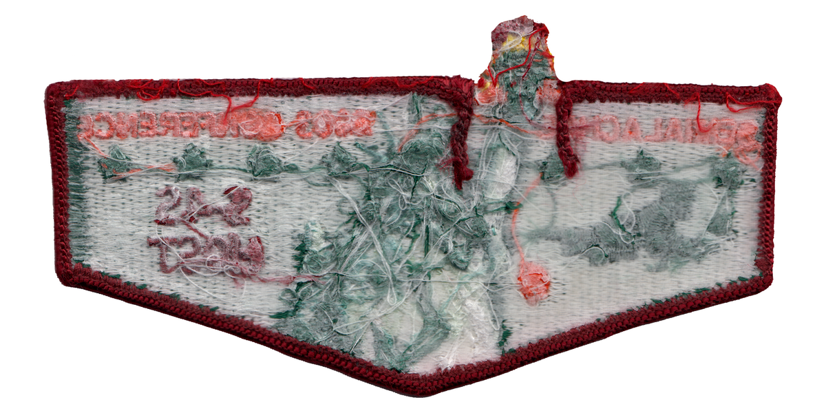 Semialachee S47a (back)