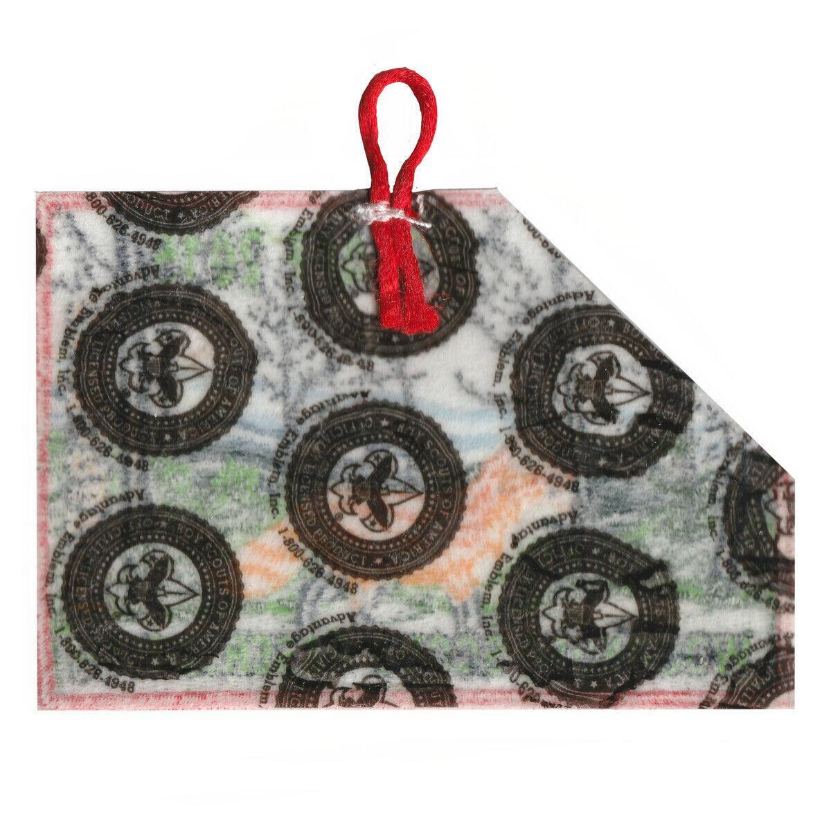 Woodruff Scout Reservation eX2015-2 (back)