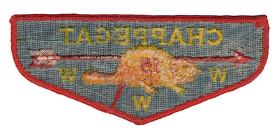 Chappegat F1c (back)