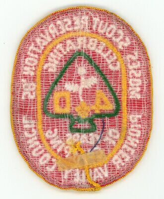 Horace A Moses Scout Reservation X13