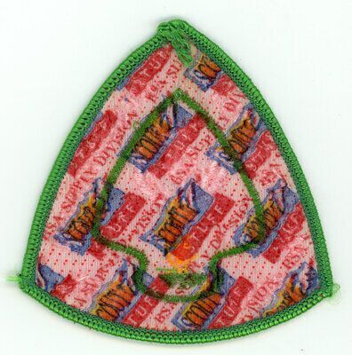 Horace A Moses Scout Reservation A67