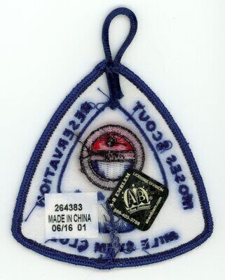 Horace A Moses Scout Reservation A81